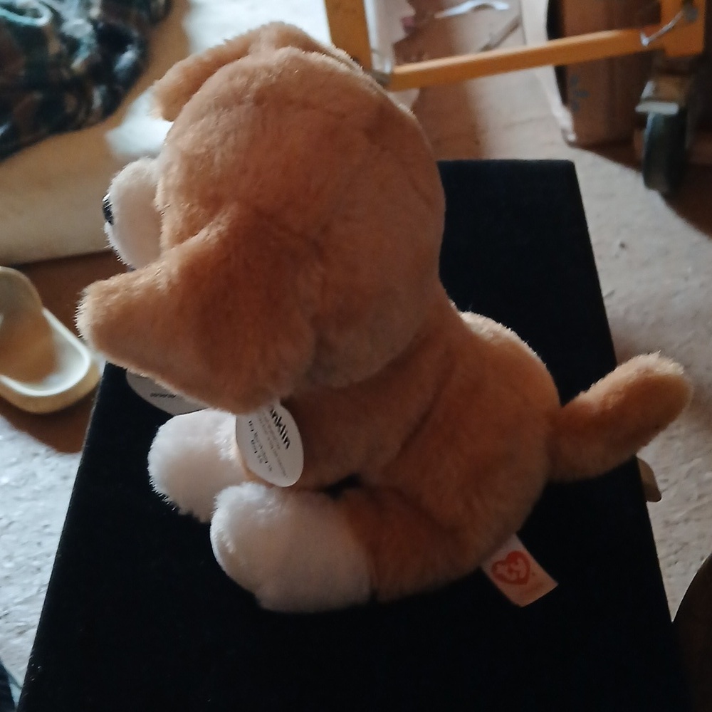 Ty Plush Dog Toy in Brown and White (Franklin) - Picture 6 of 9